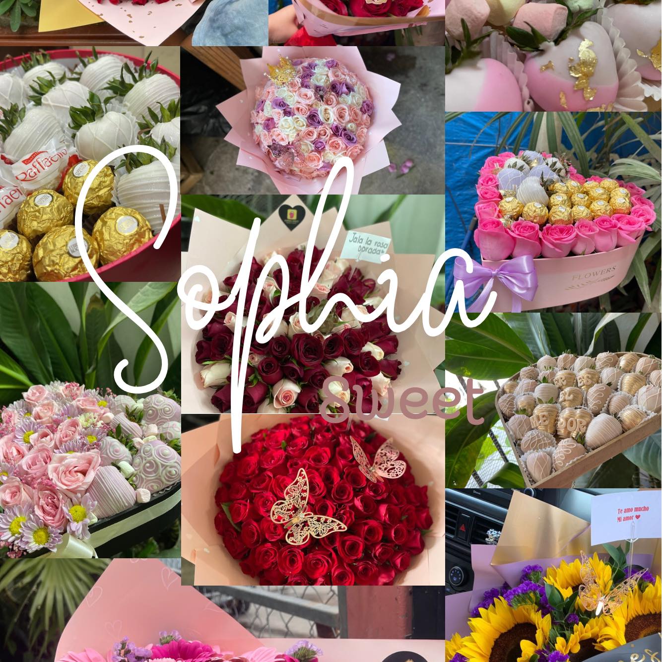 Sophia Sweet
