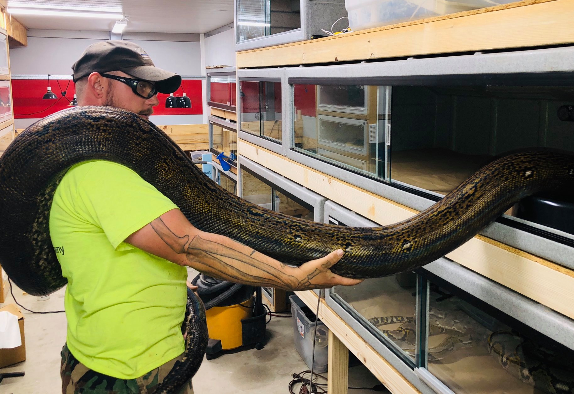 Rocky Mountain Retics