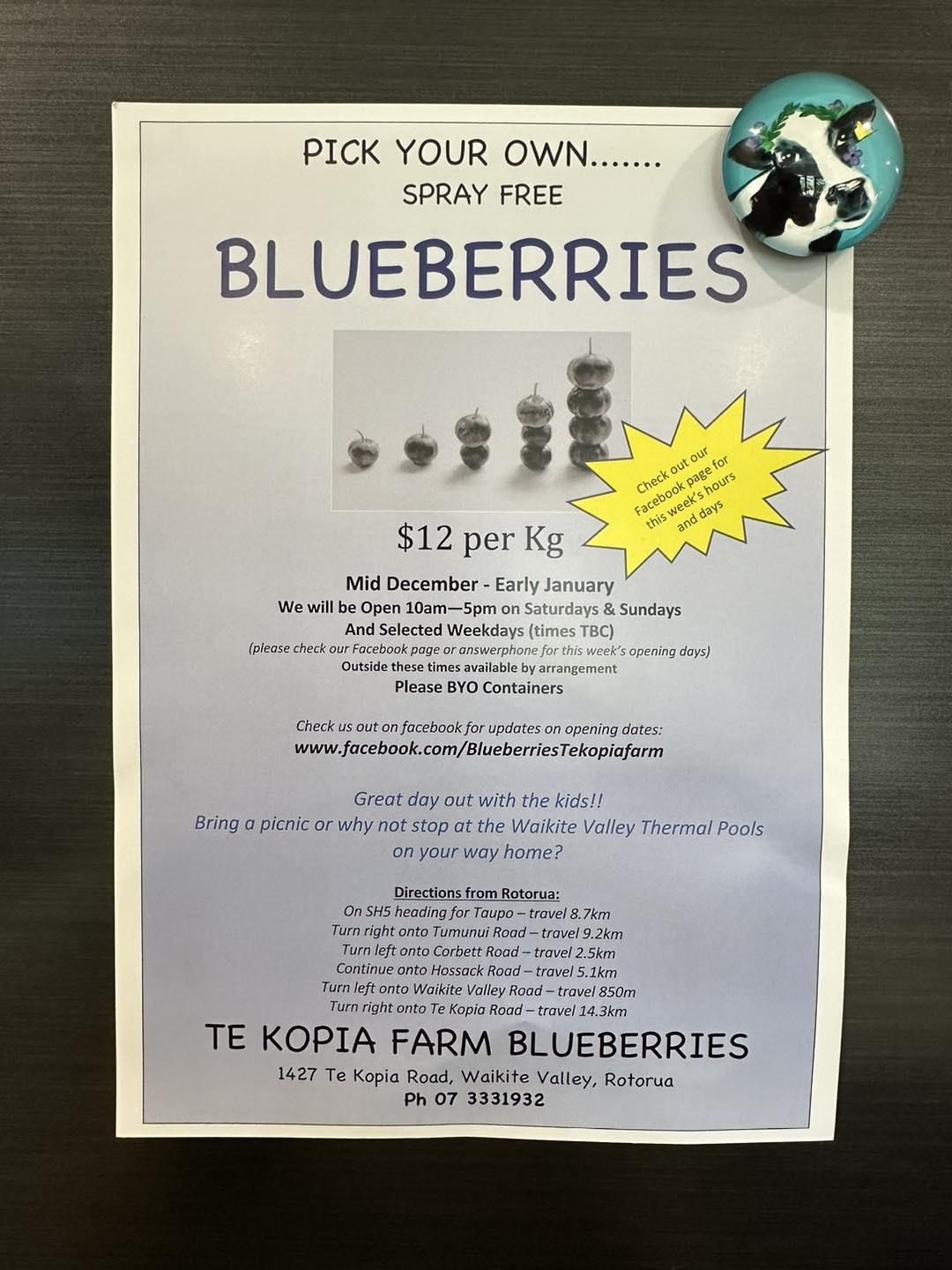 Te Kopia Farm Blueberries | Rotorua