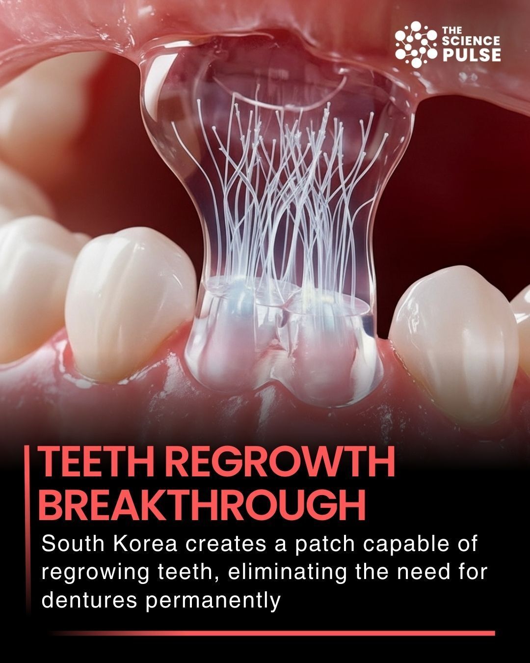 The Science - South Korean scientists have developed a revolutionary ...