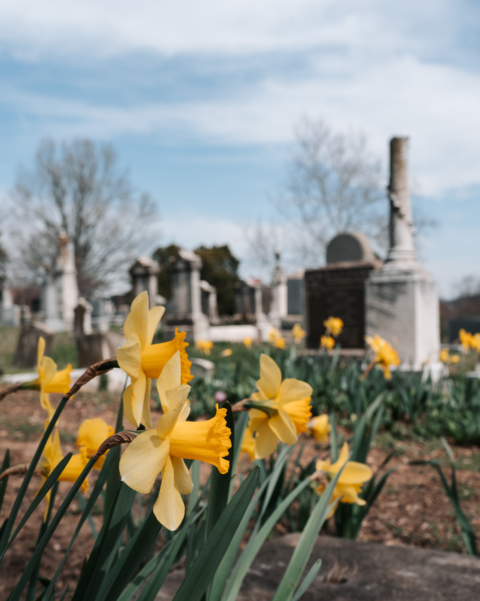 Congressional - Join us in celebrating lighter days as we welcome the ...