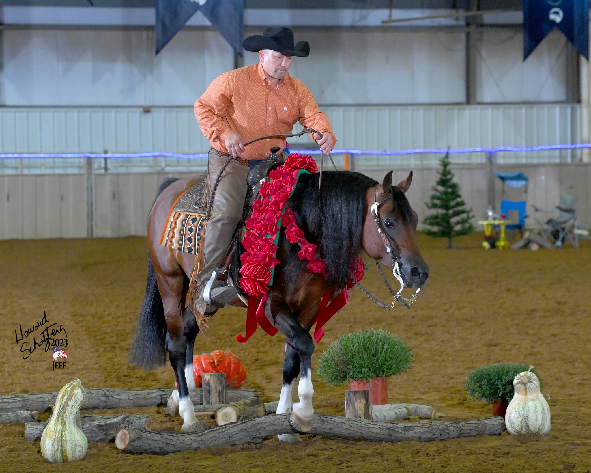 Our first AWWA Ranch... - Arabian Working Western Alliance | Facebook
