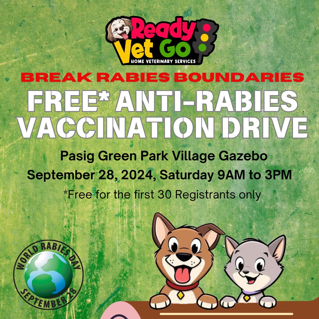 Free Anti-Rabies Vaccination Drive for Cats and Dogs