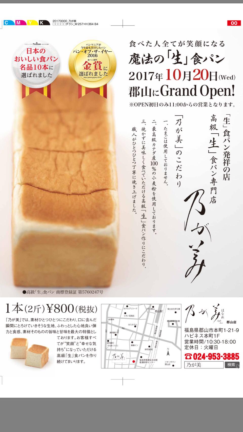 活動歴および当時の関連ビジュアル記録