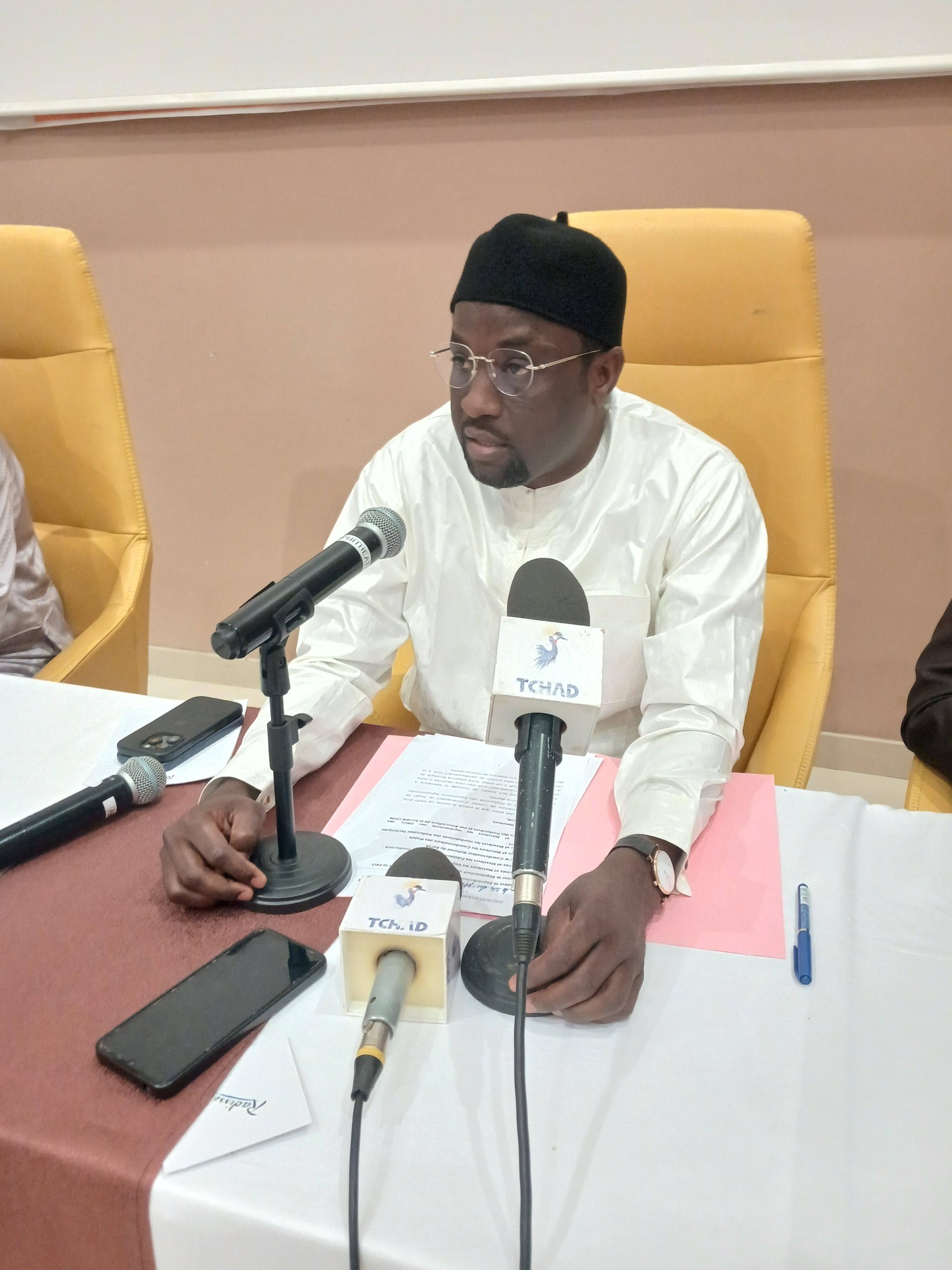 #Tchad:Le Secrétaire Général du Ministère de la Production et de l ...
