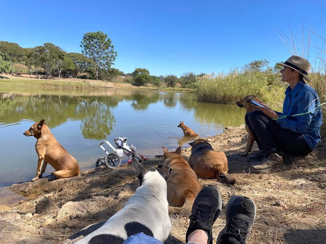 Canadian volunteer... - The Twala Trust Animal Sanctuary