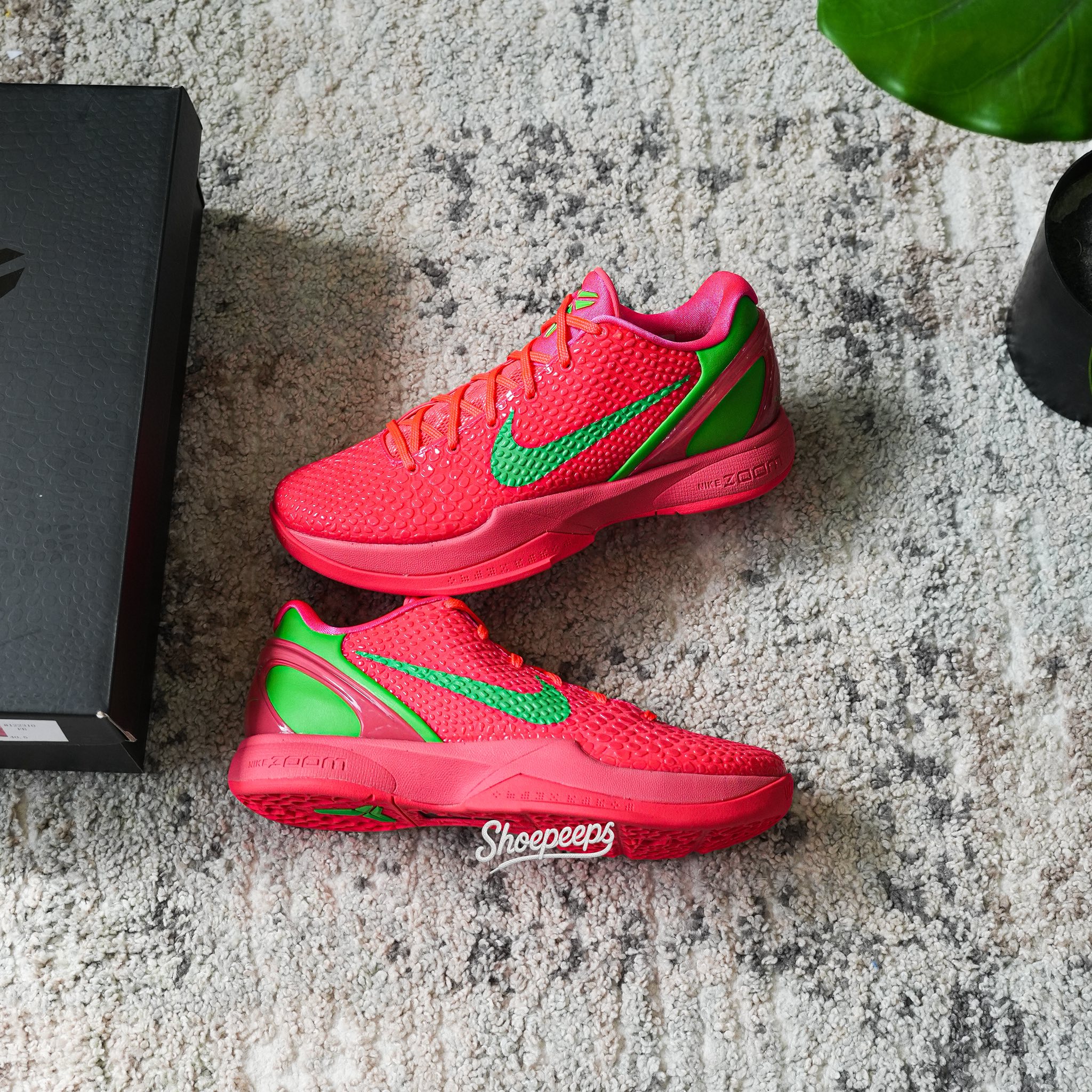Shoepeeps Exclusive Kobe 6 WNBA All star PE