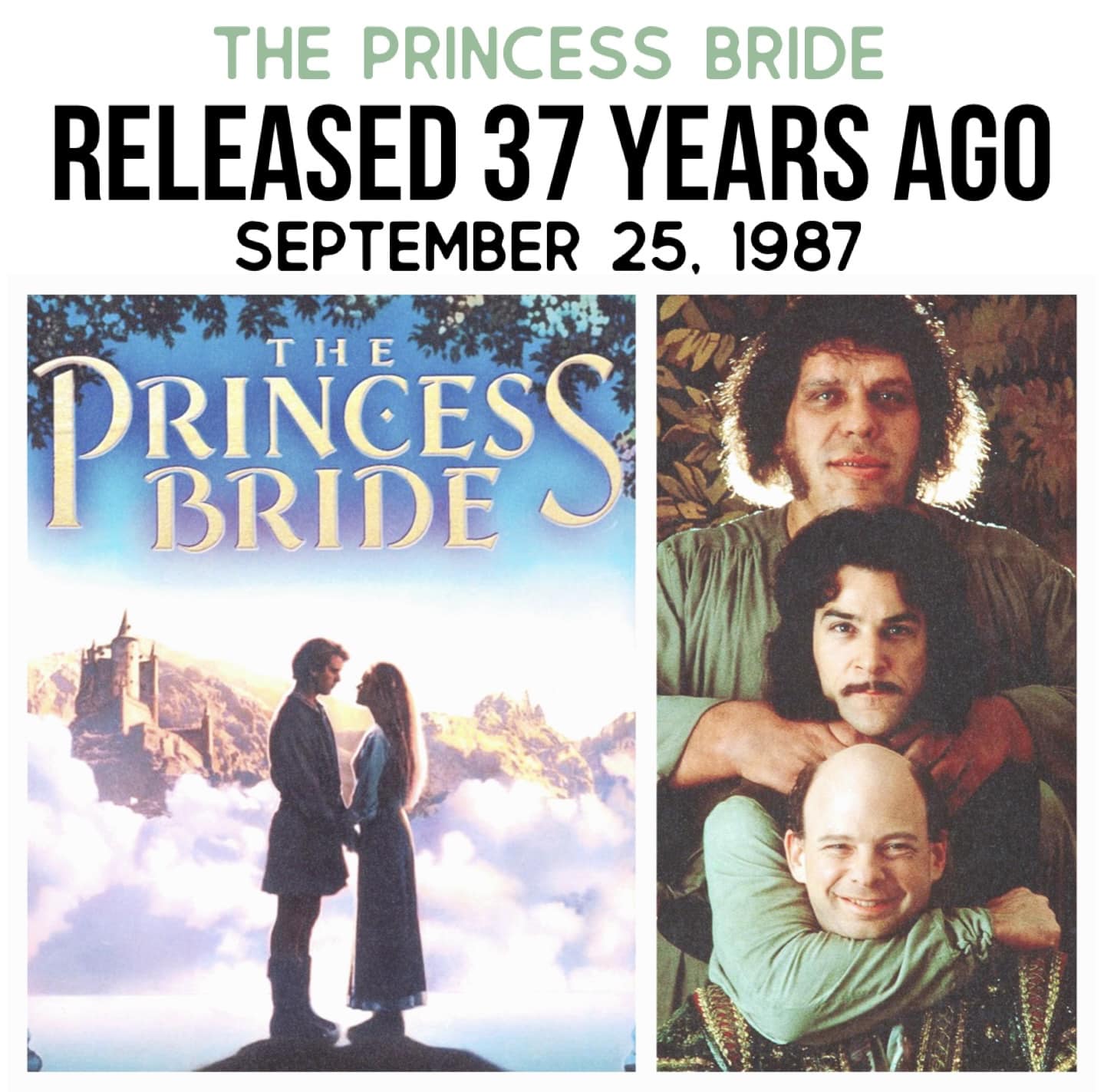 Princess Bride Poster Quotes Printable Quotes From The Princess Bride