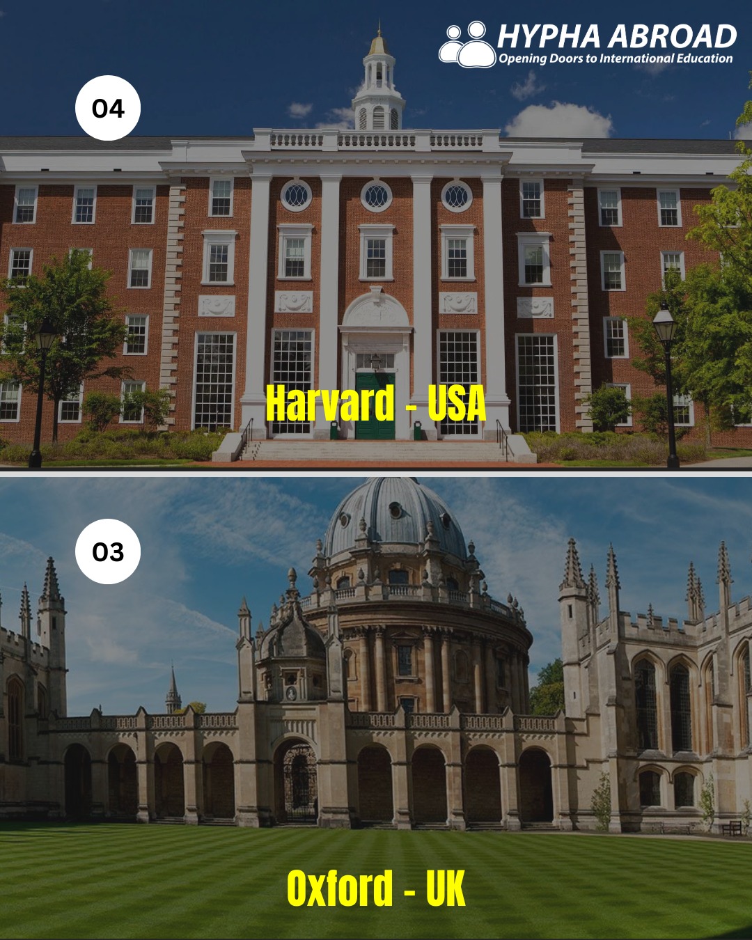 Hypha Mentor for Overseas Education | Herndon VA
