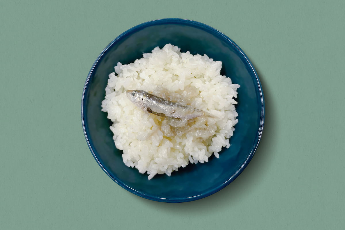 農傳媒 - 【食飽吂？鹽醢傍飯 海客海味】... | Facebook
