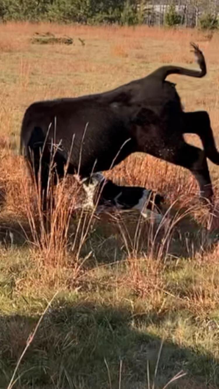 Triple R Ranch