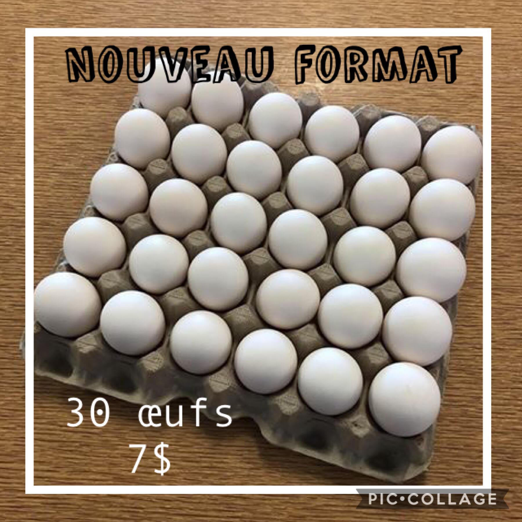 Bidon & Bococo - ️ Nouveau Format ️ Nos cocos sont...