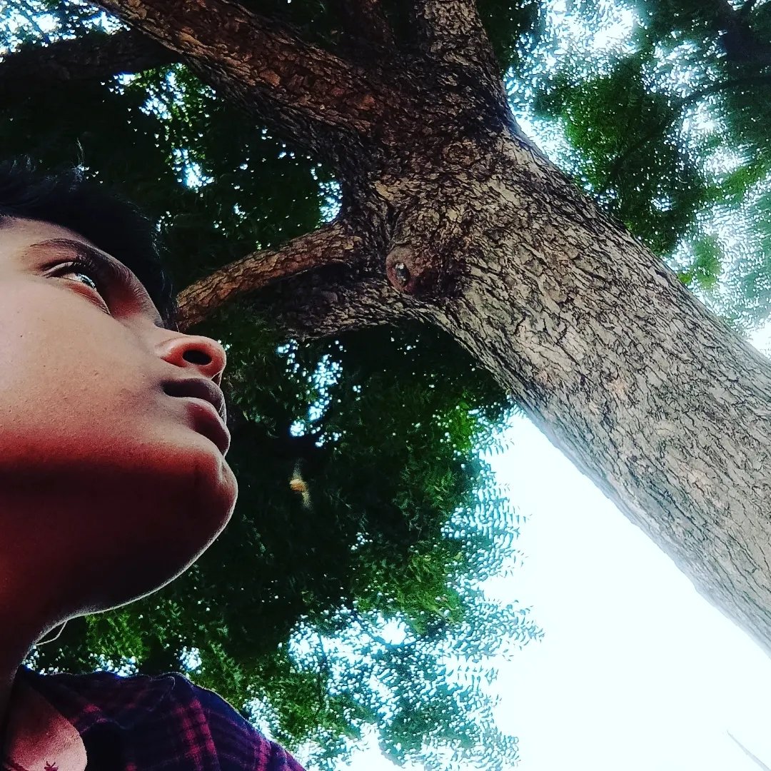 Sakshith Reddy