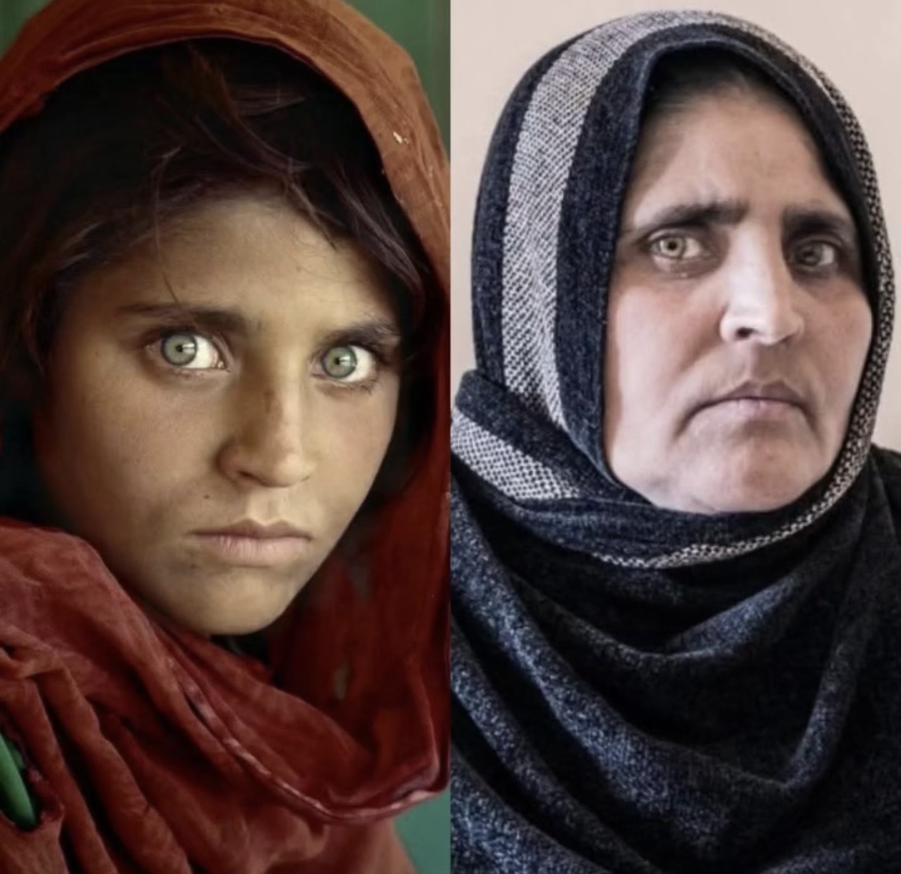 ancient-the-gaze-that-traveled-the-world-she-is-sharbat-gula-the