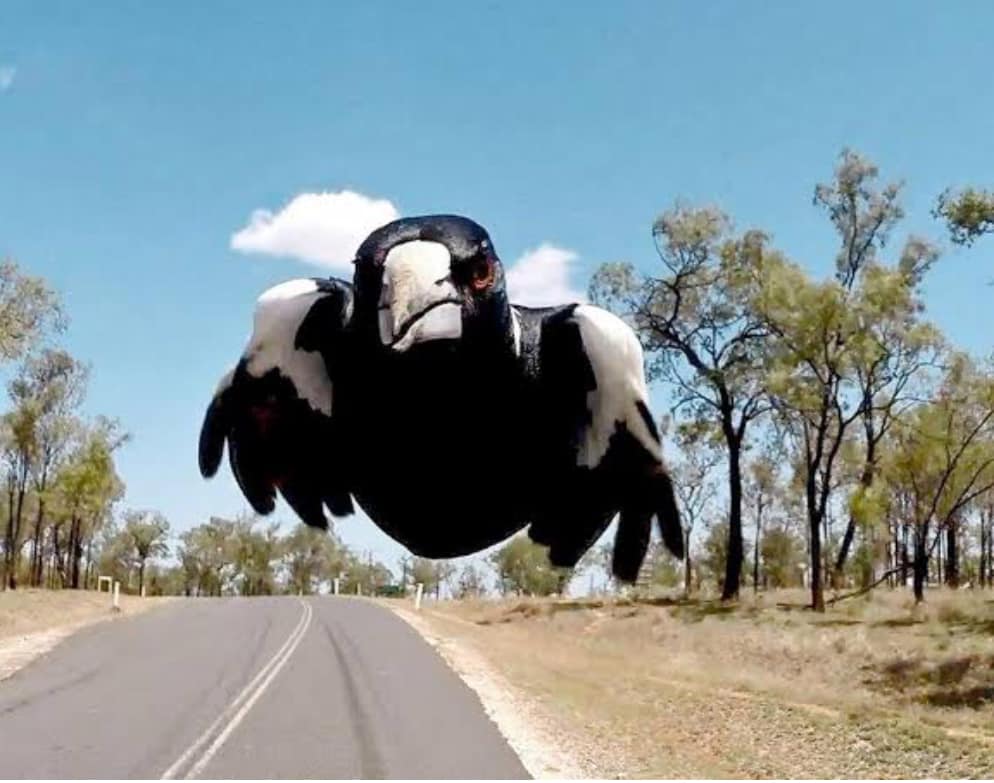 Flinders Ranges Visitor Information Centre - Quorn | Quorn SA