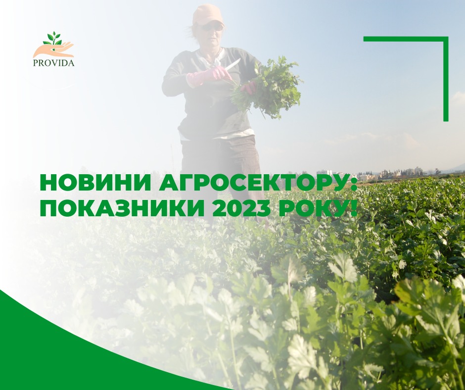Provida Legal Company I Ukraine