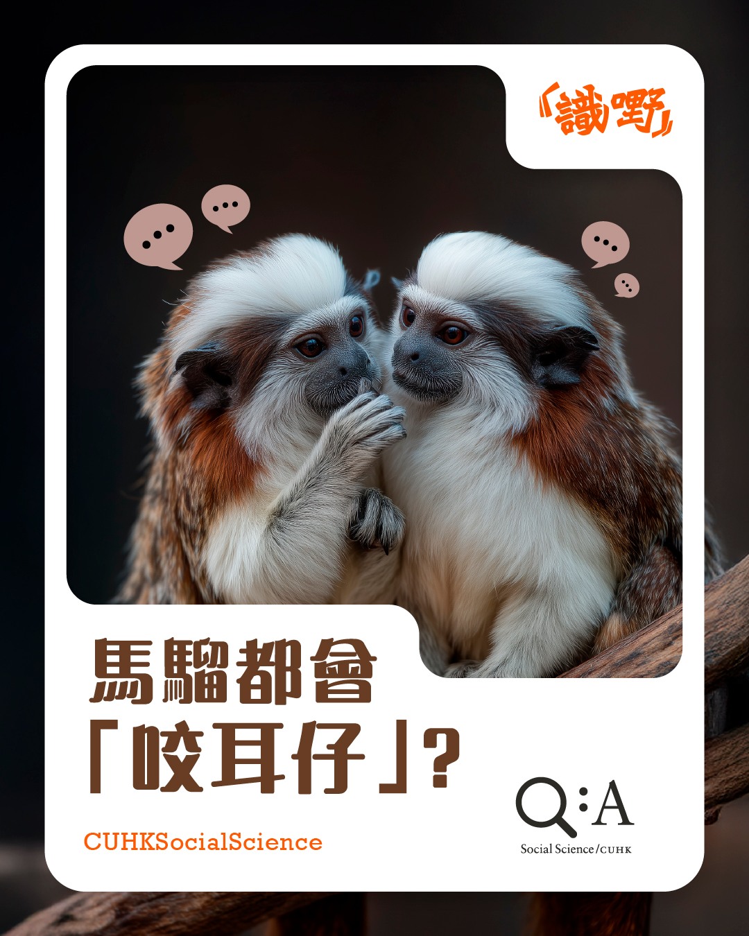Faculty - 【#識嘢】馬騮都會「咬耳仔」？ 悄悄話唔係純粹「講秘密」，亦係一種親密，維持聯繫同建立信任既社交行為。我哋成日細細聲講，除 ...