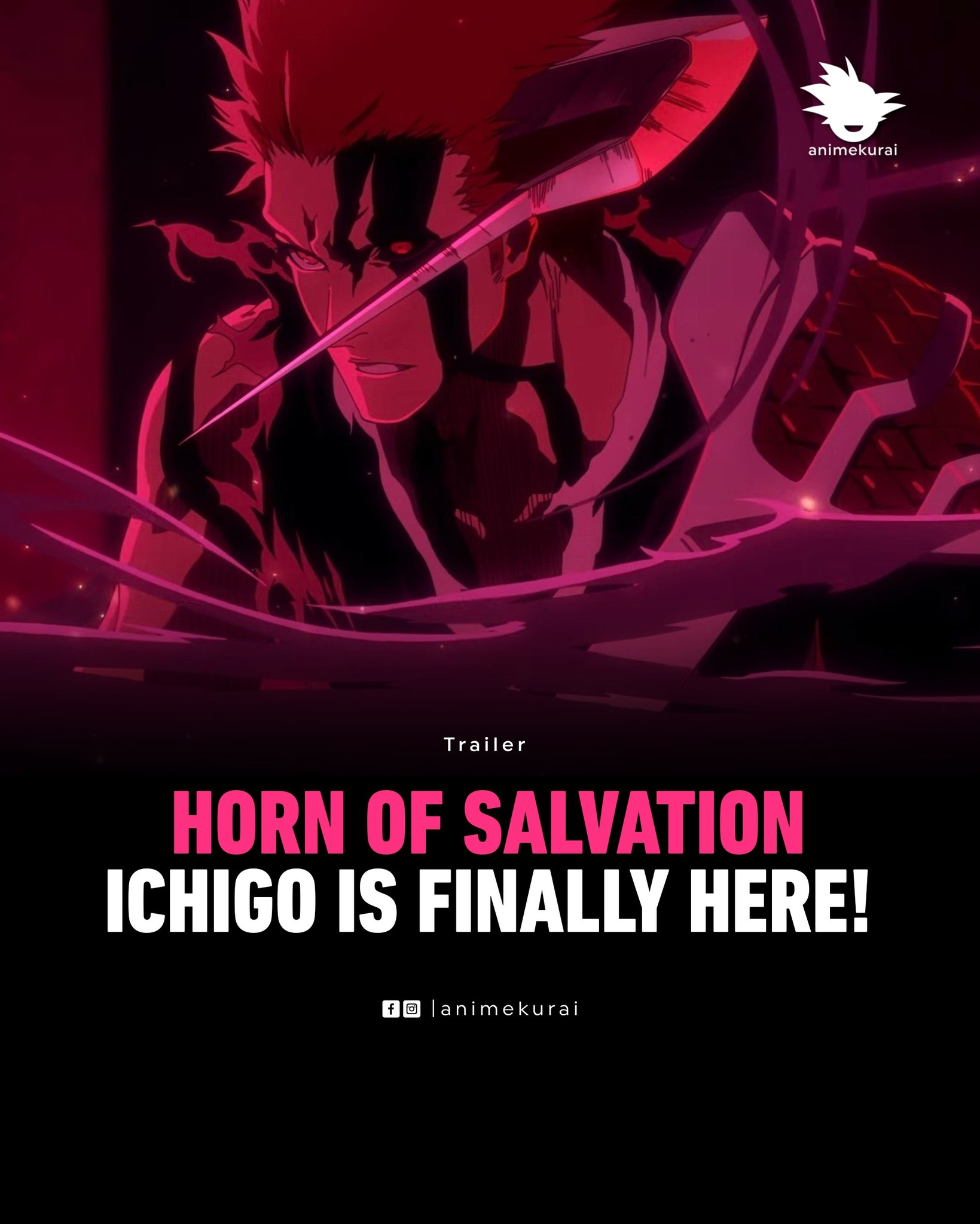 Bleach Ichigo Horn of Salvation release