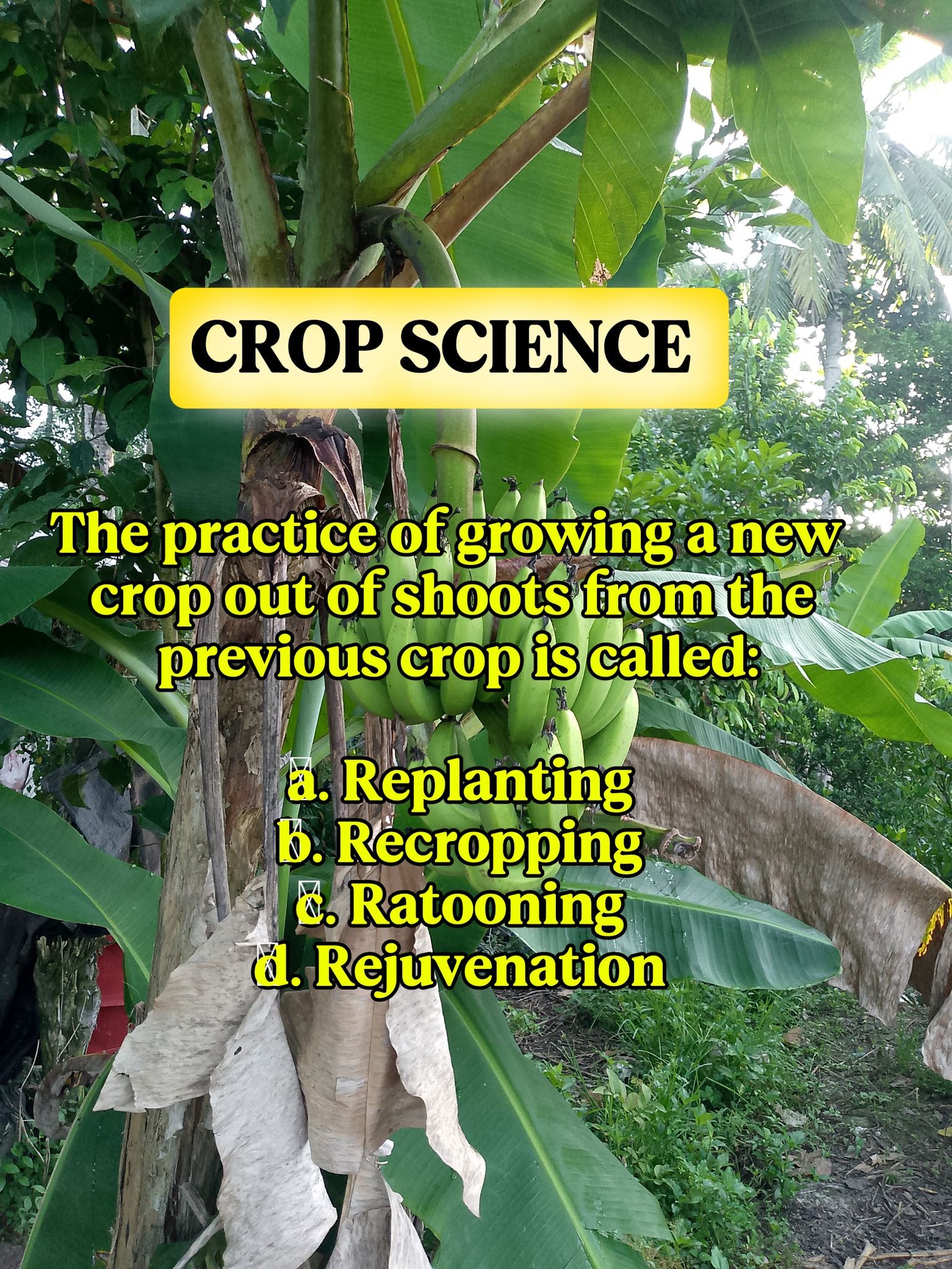 Agriculture Review | Permission admin | Facebook