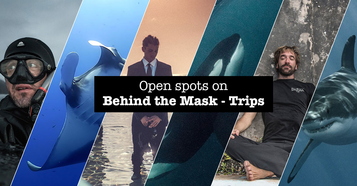 Open Spots on Behind the Mask Trips | Facebook
