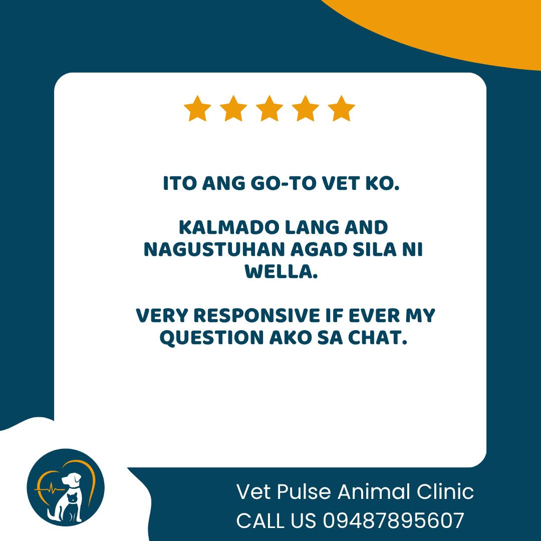Prepared Veterinarian Pulse Responsive Armlity Reference: Vet Pulse Animal Clinic