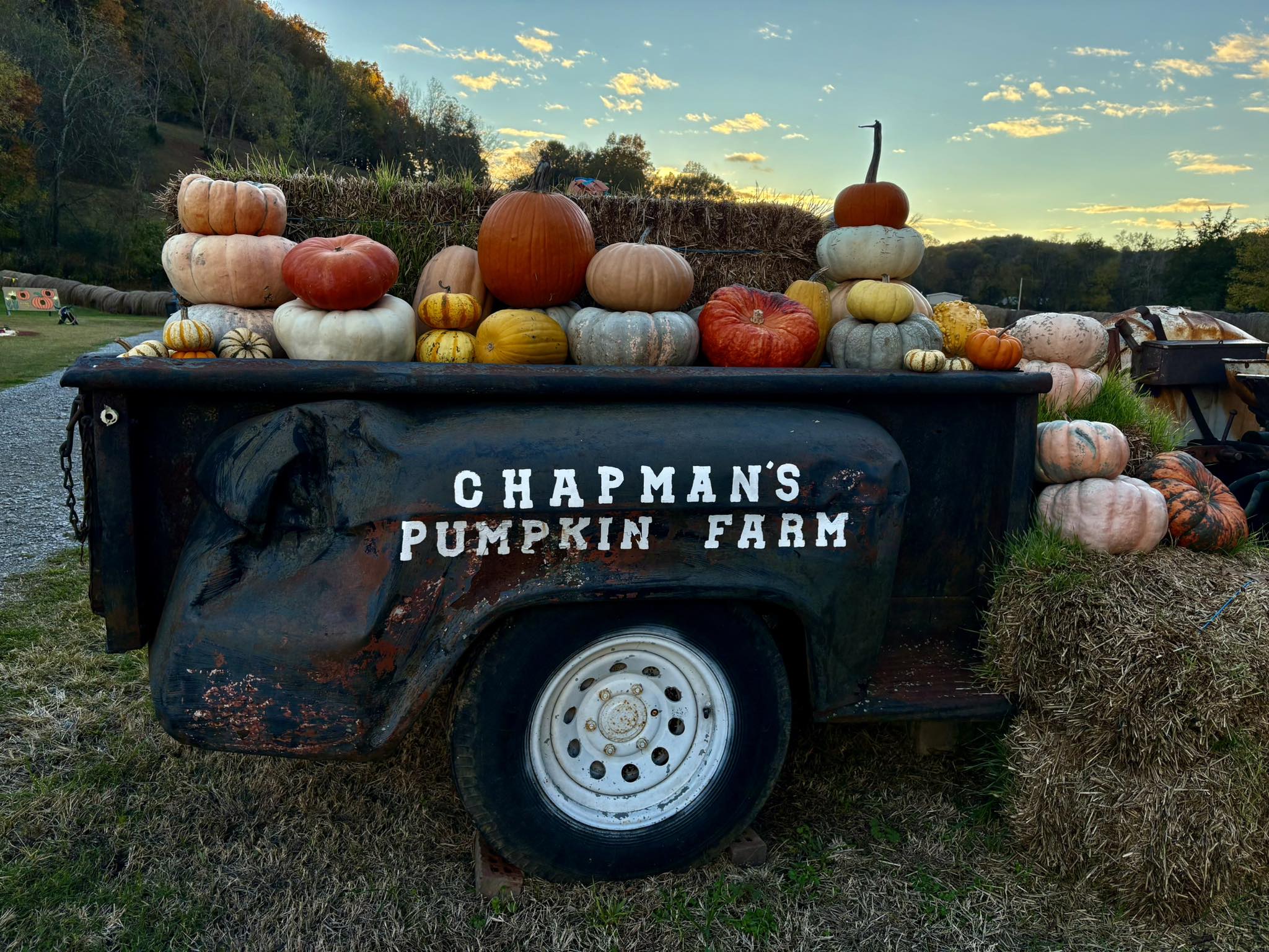 That’s a wrap on our 2025... - Chapman’s Farm and Greenhouses | Facebook