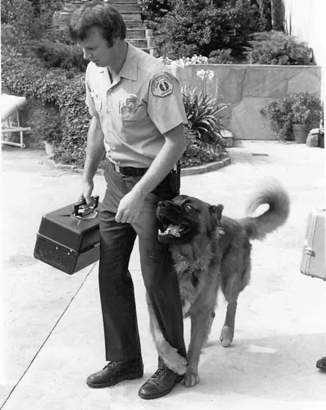TV - Emergency! was a popular medical drama series that aired from 1972 ...