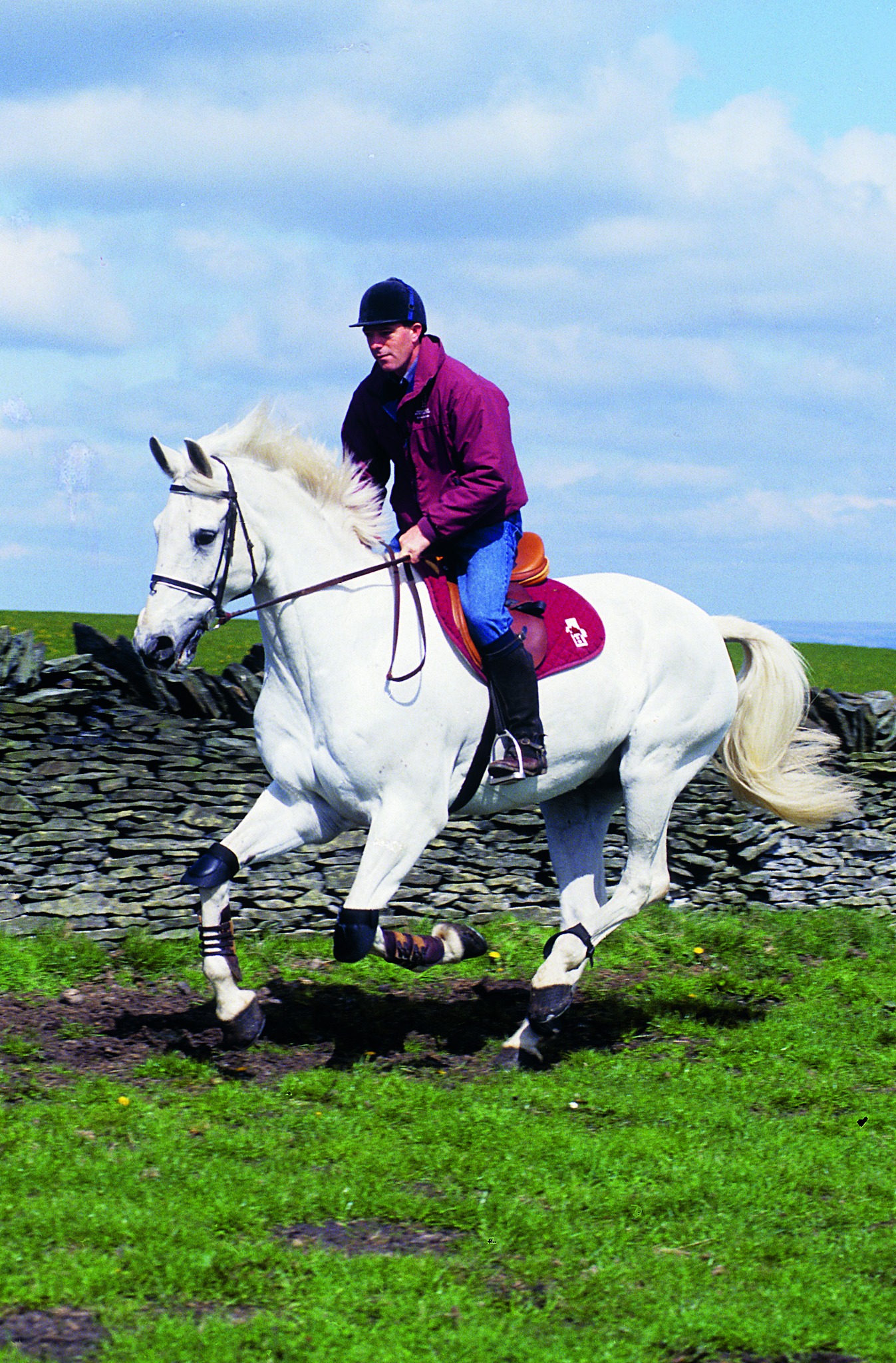 The Equestrian - John Whitaker on top the great Milton at his farm in ...