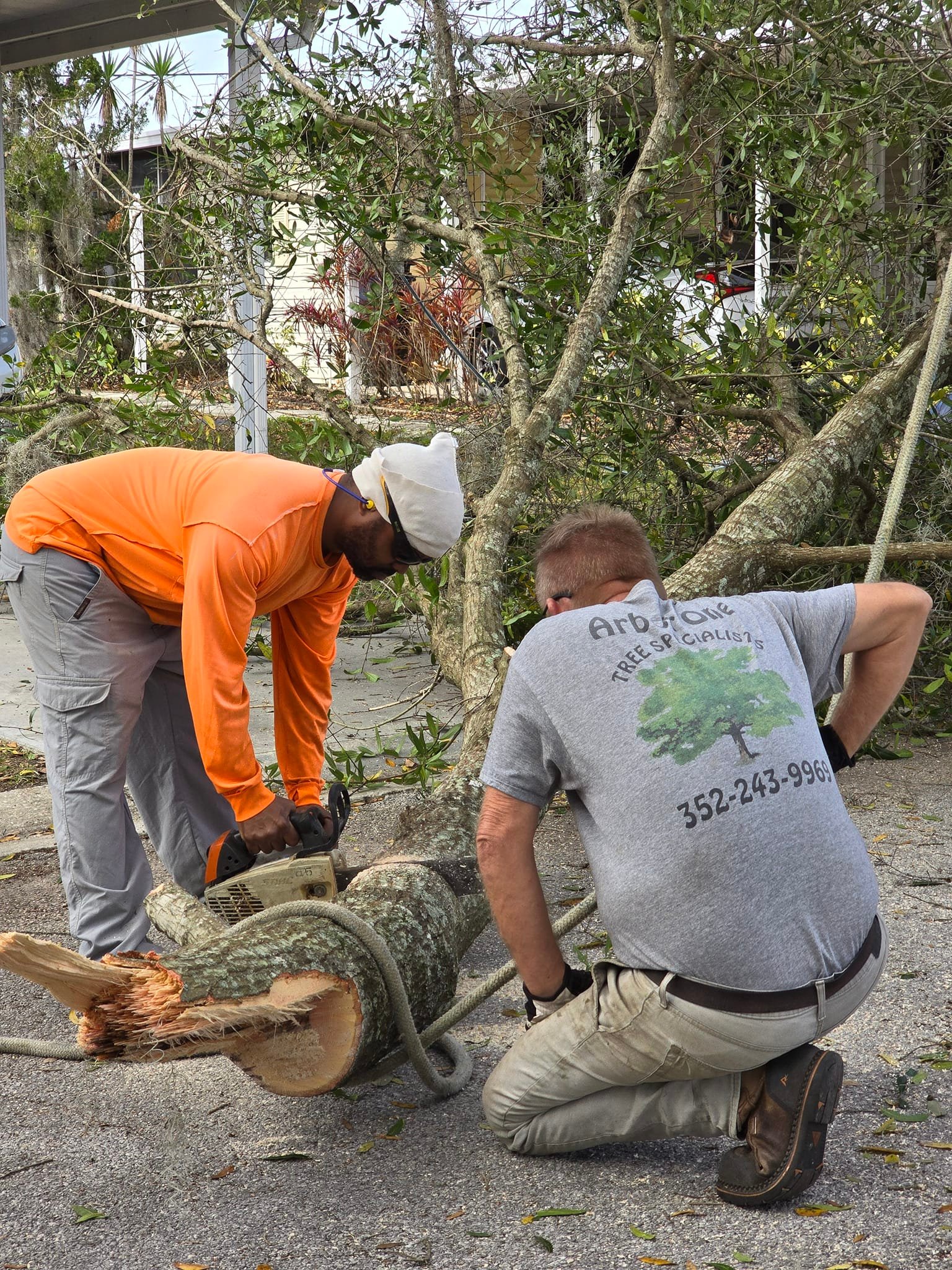Arbor One Tree Specialist | Clermont FL