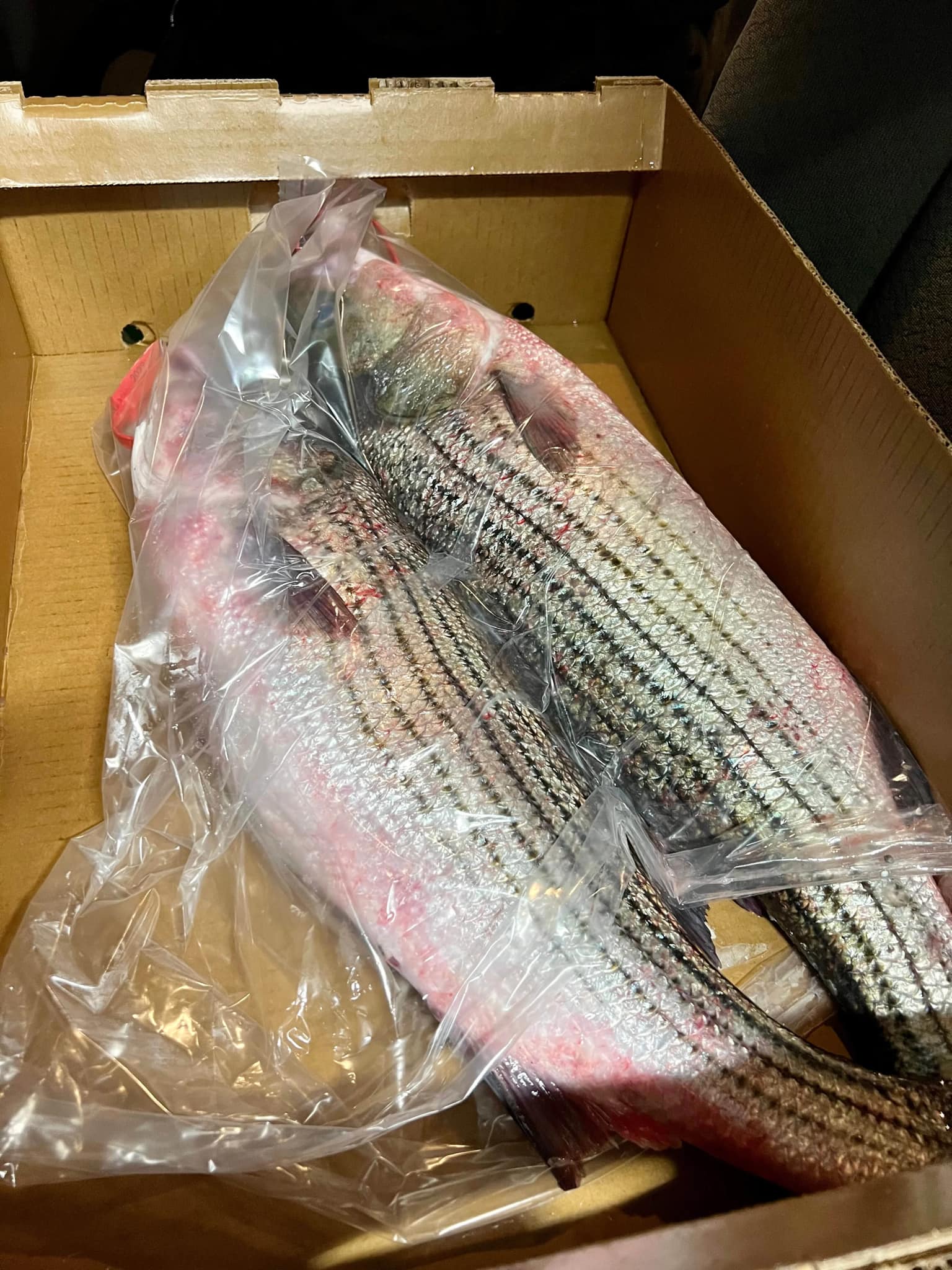 First Cousins Fish Cuttery | Hyattsville MD