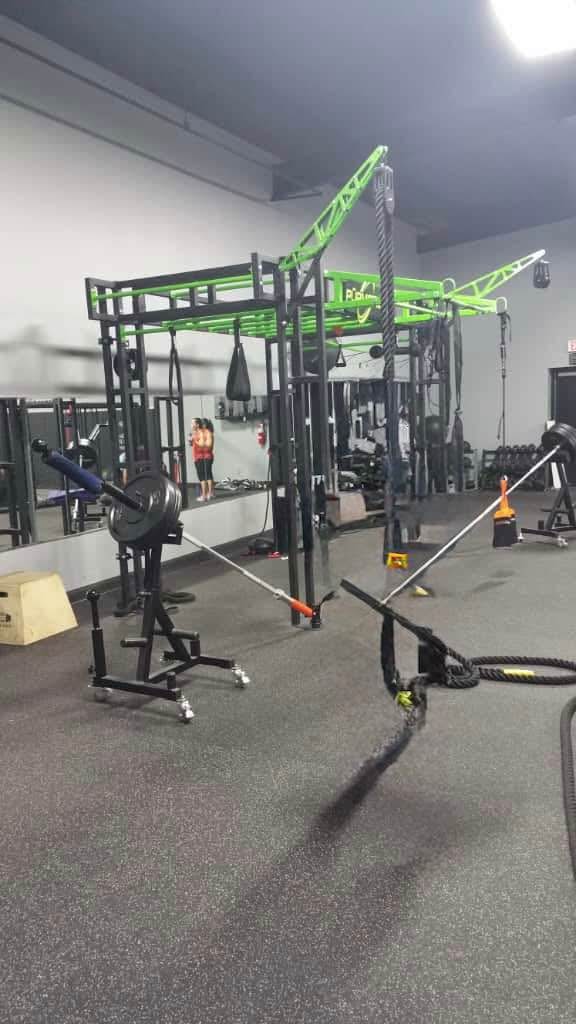 Purmotiin Function training - Weight Lifting Machines & Racks - Pelham ...