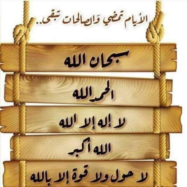 شركه اي بي س للمقاولات والتوريدات العموميه