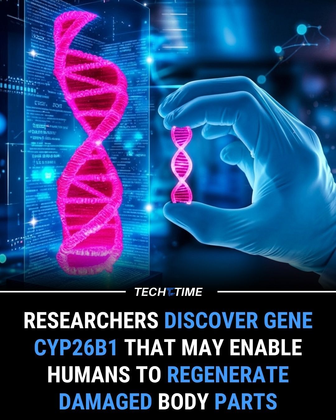 Techmed - A gene could unlock human regeneration. Scientists have ...