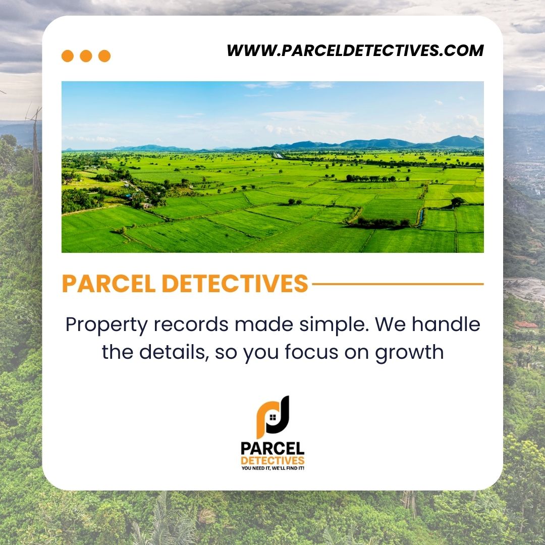 ParcelDetectives