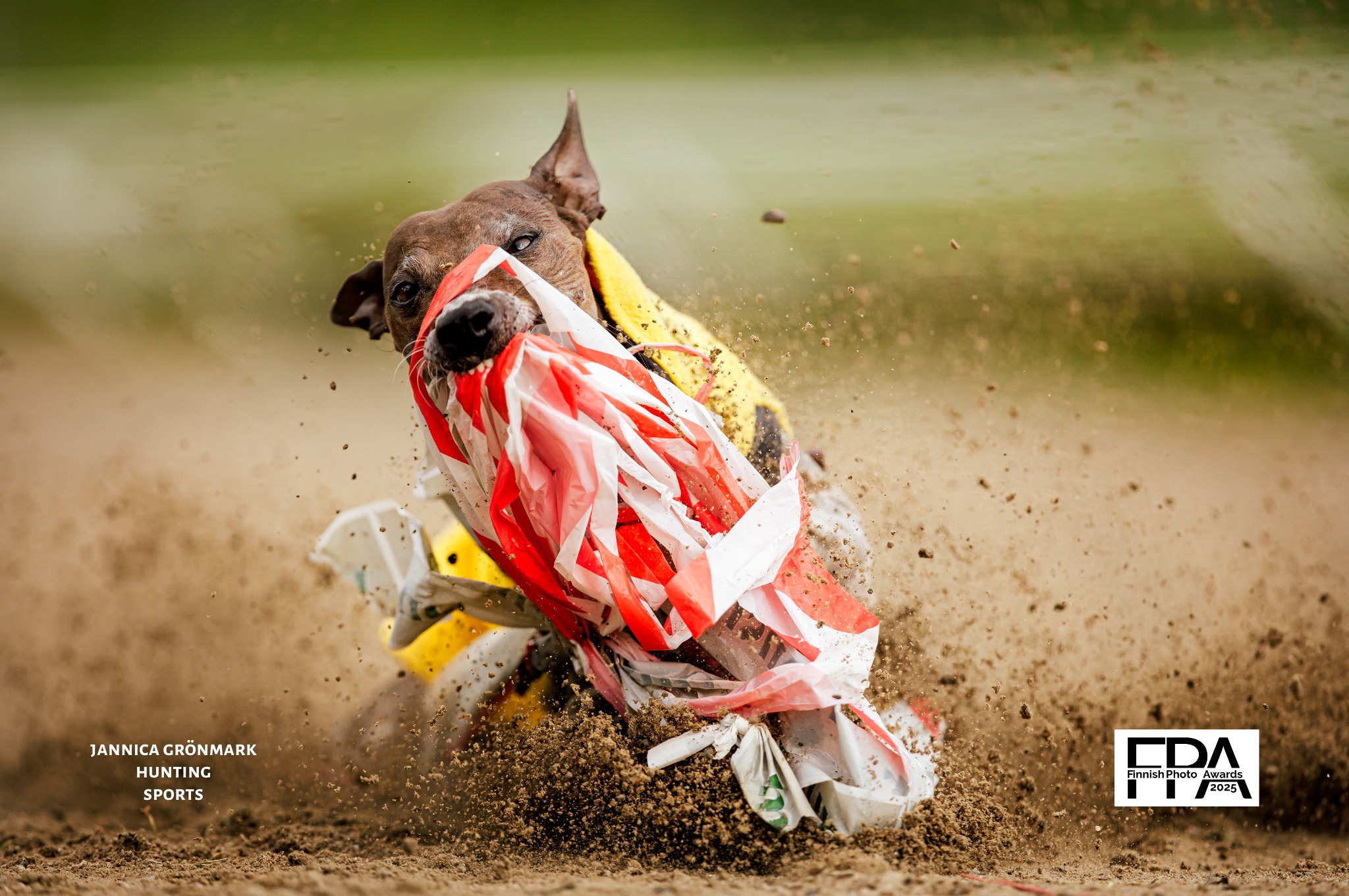 Finnish Photo Awards added a new photo. - Finnish Photo Awards