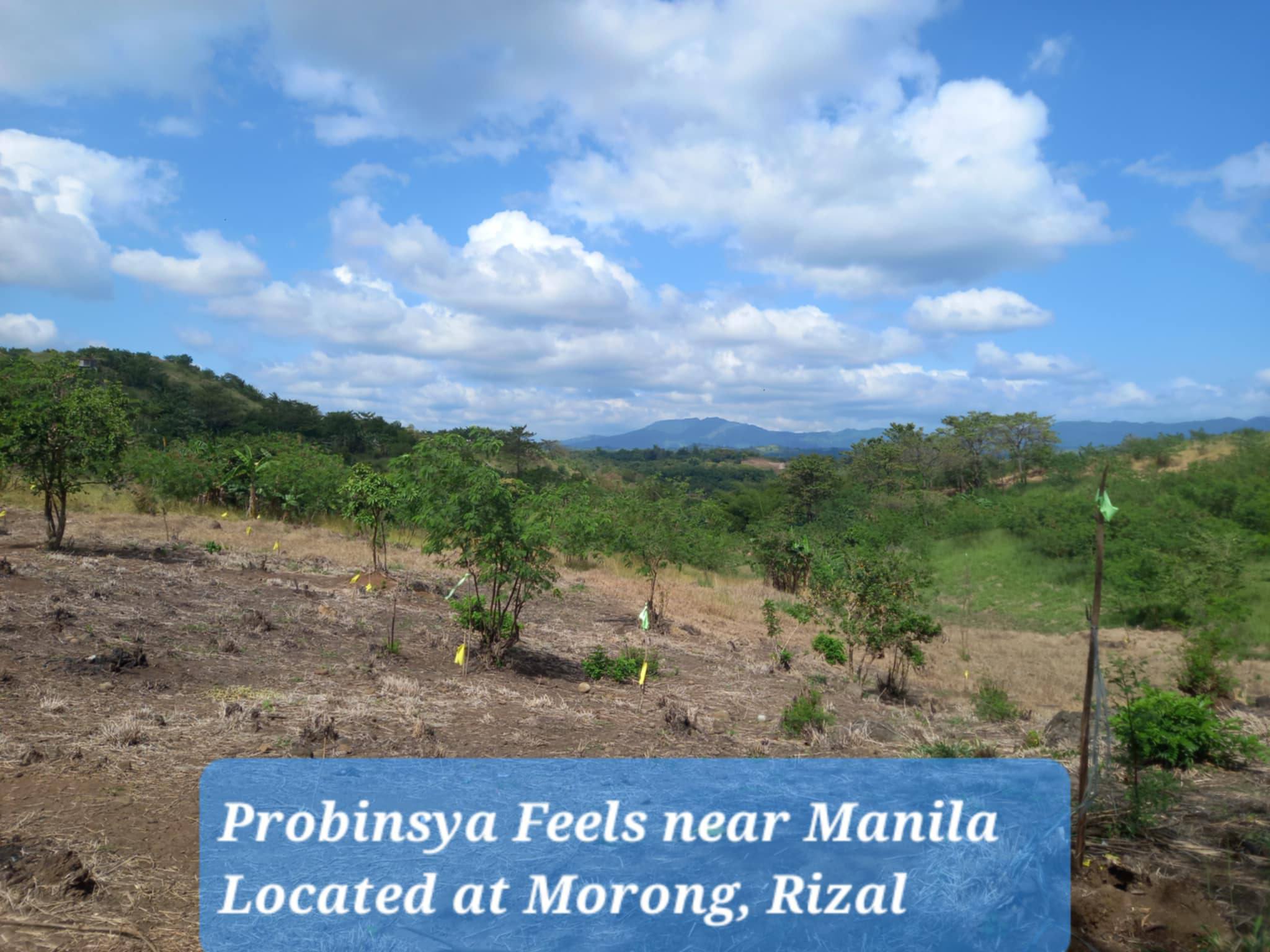 The Farms Rizal | Morong