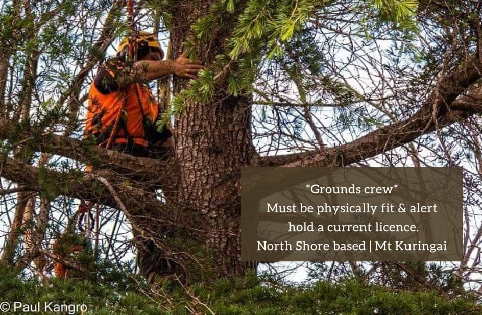 Bolans Residential & Strata Tree Services | Mount Kuring-Gai NSW