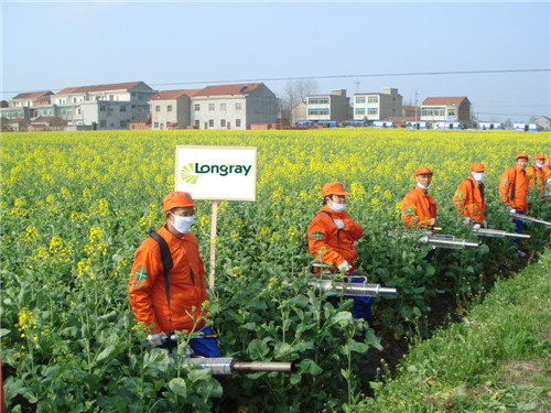 Longray Fogger Machine | Shenzhen