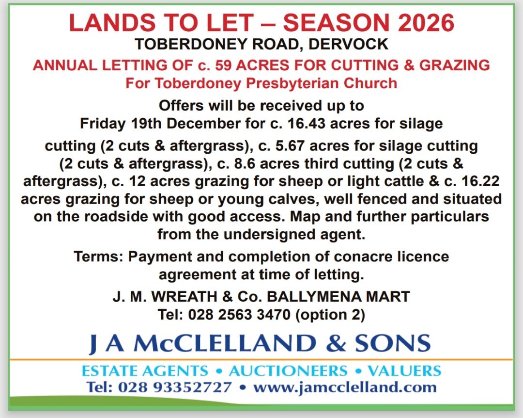 Ballymena Livestock Market | Facebook