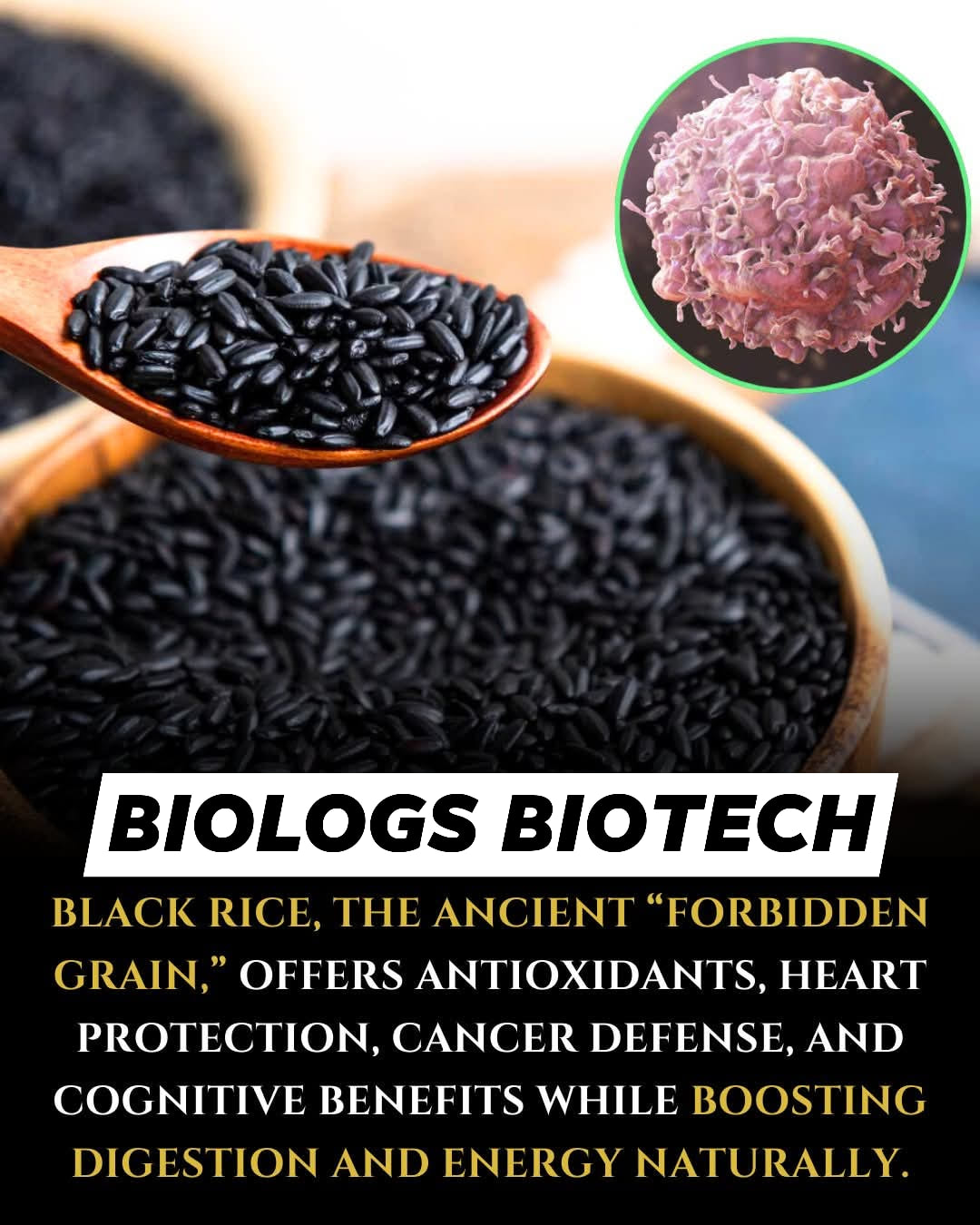 Biologs - Black rice, also known as forbidden rice, is a nutrient-rich ...