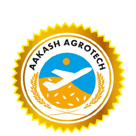 EKKA Basmati Rice | Haryana