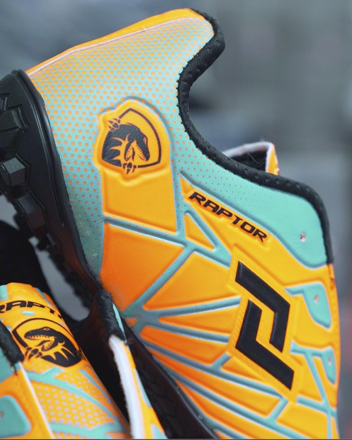 Raptor Sport Shoes | Lanús