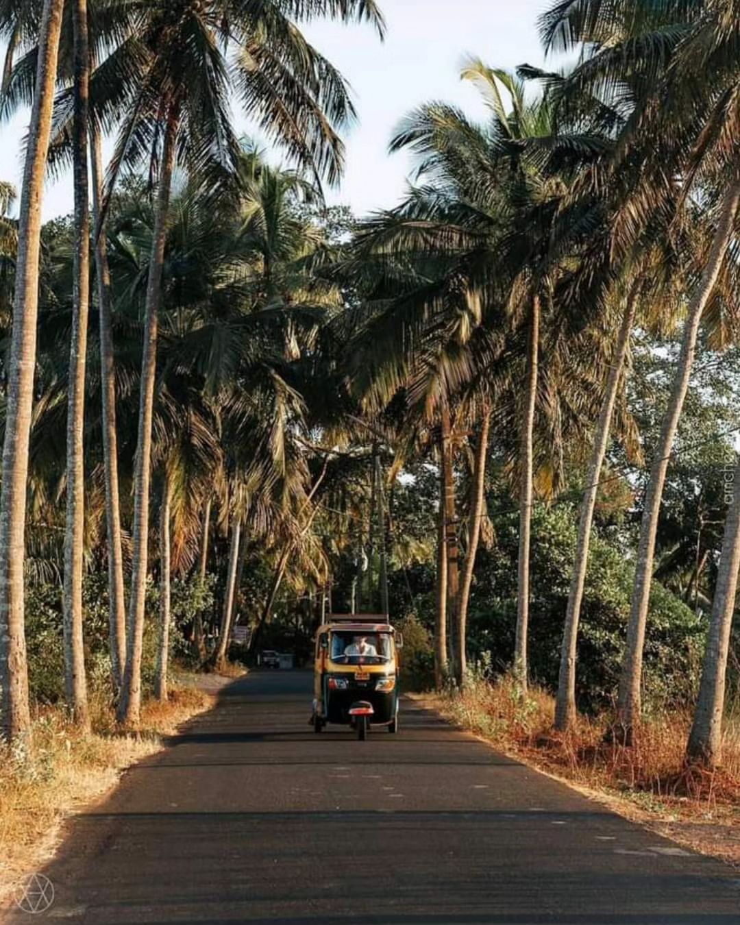 Beauty - Rickshaw (tuk tuk) ride in Goa! . . Follow @beautyofgoa for ...