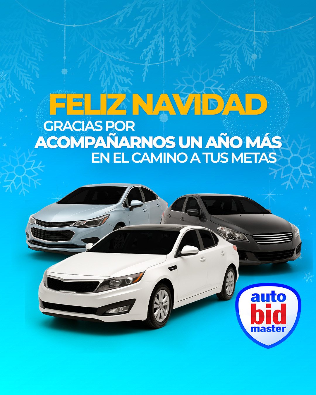 Autobidmaster Guatemala