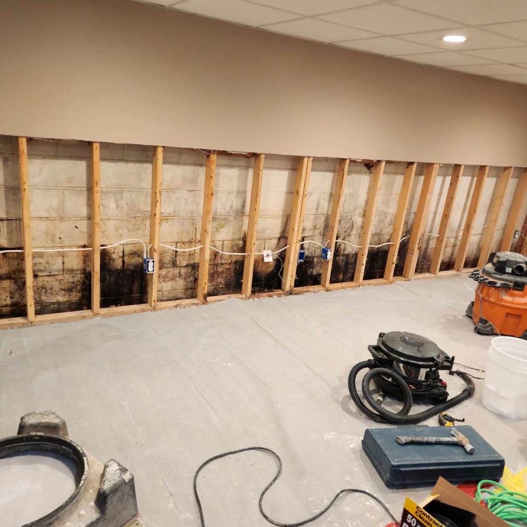 Mold Men Environmental