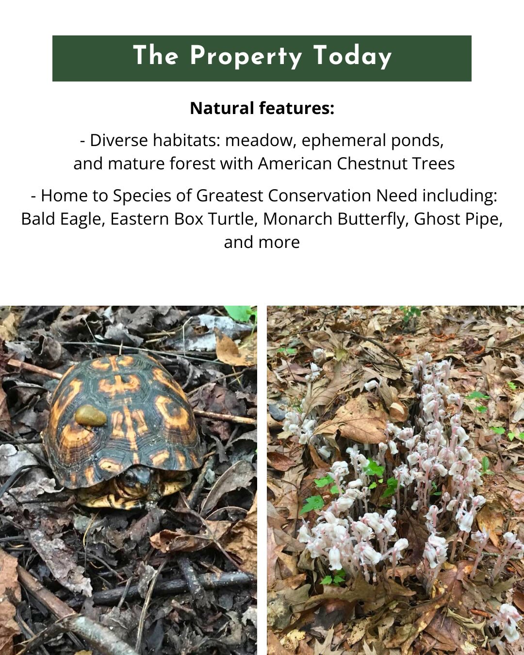 Native Roots Farm... - Native Roots Farm Foundation