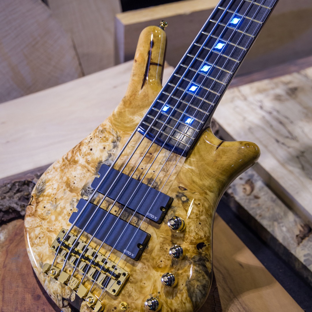 Warwick - This Thumb NT 6-String featuring a 1” Buckeye Burl Top