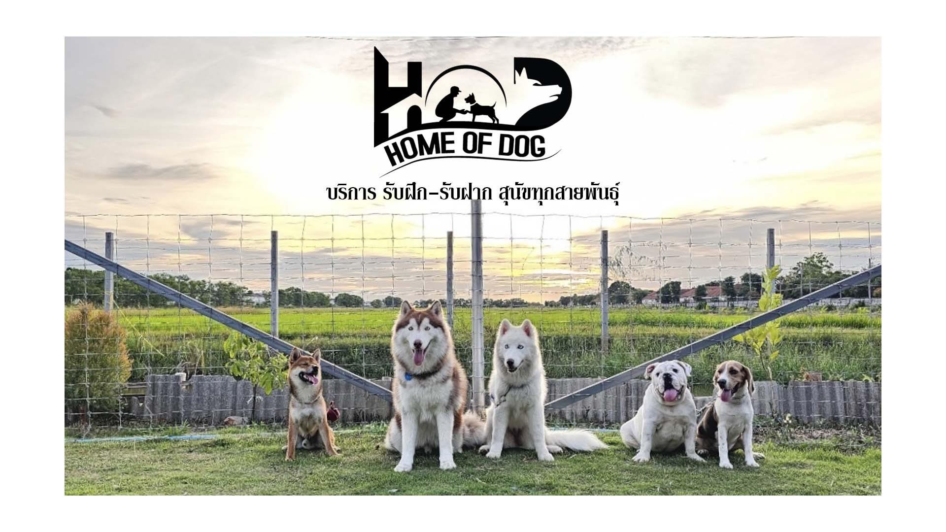 บาร์ฟ ๆ... - บาร์ฟ ๆ by อิ่มเอม อาหารดิบสดสำหรับสุนัขและแมว