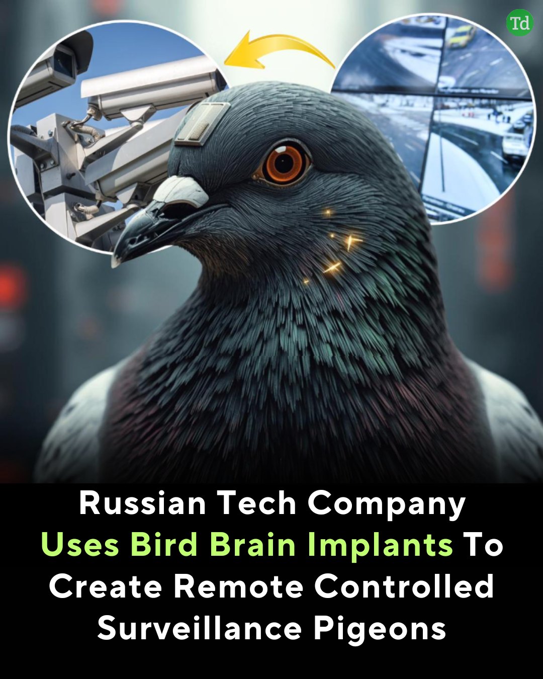 TechDator - In early 2026, the Russian neurotechnology startup Neiry ...