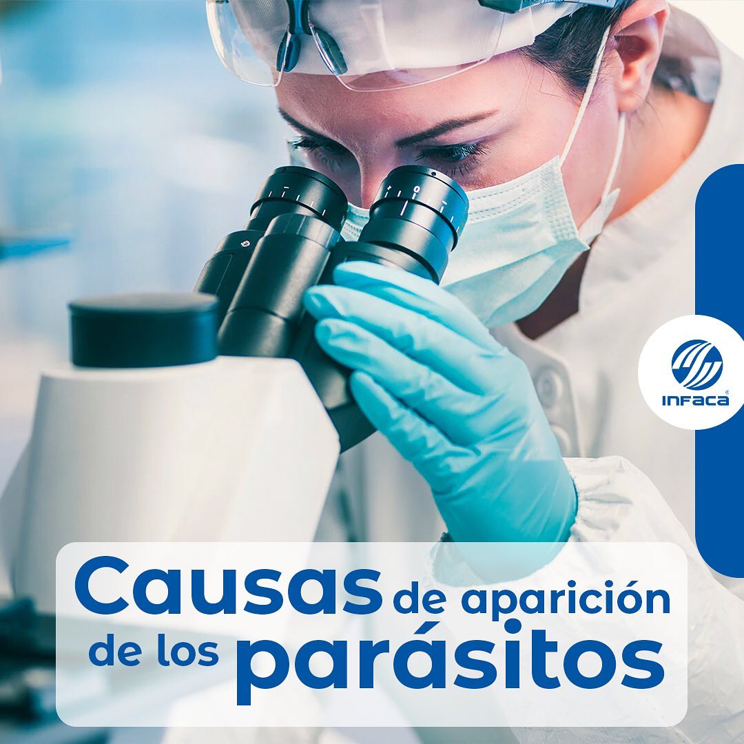 Infaca - Industria farmacéutica del Caribe | Santo Domingo